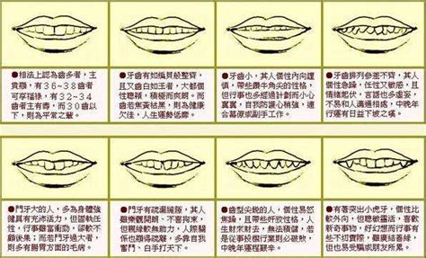 牙齒 面相|七种牙齿面相图文分析三六风水网